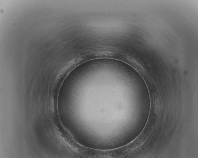 X0000063490729200601271719