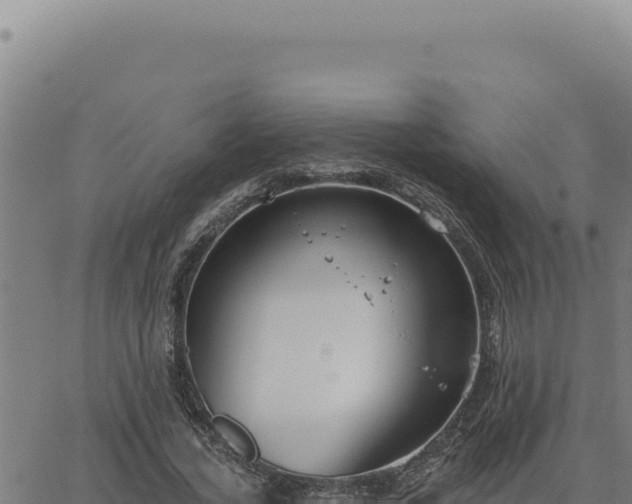 X0000063490732200601271719