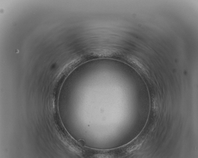 X0000063490733200601271719