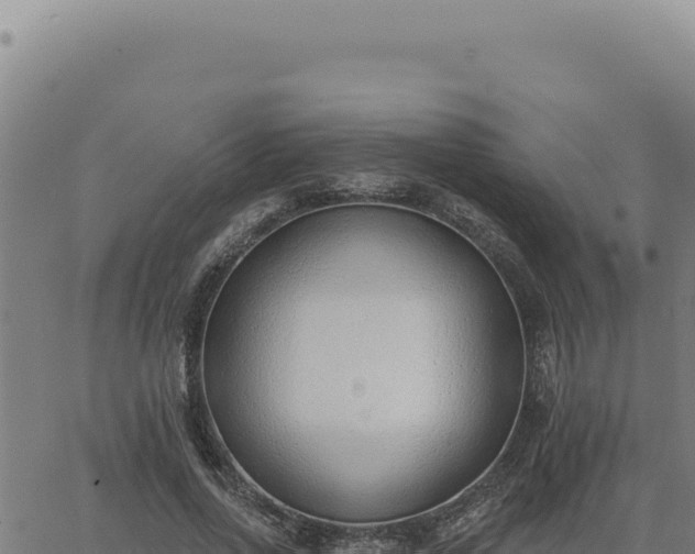 X0000063490734200601271719