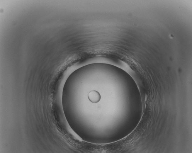 X0000063490735200601271719