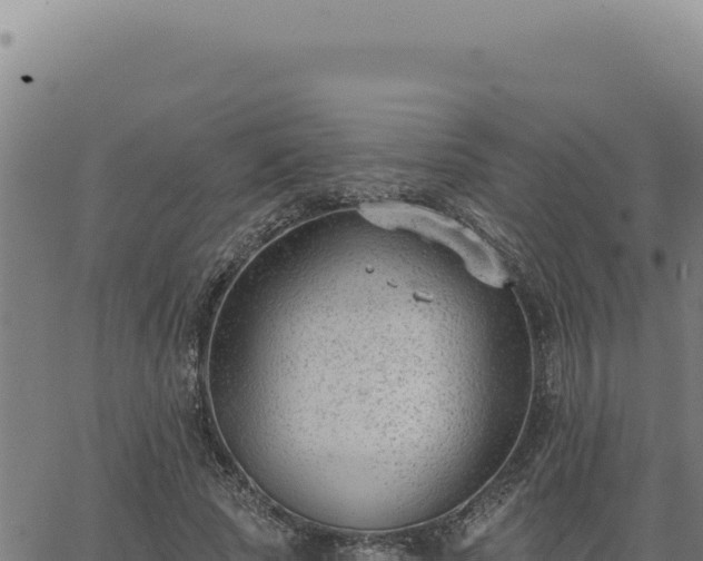 X0000063490737200601271719