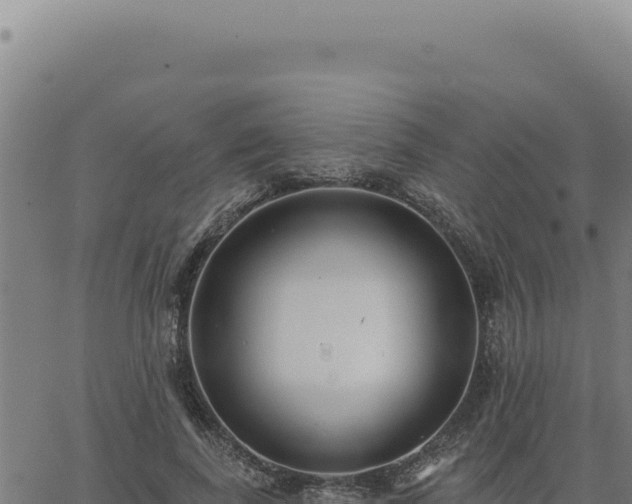 X0000063490739200601271719