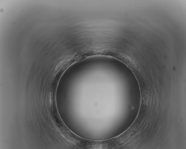 X0000063490740200601271719