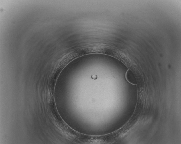 X0000063490741200601271719