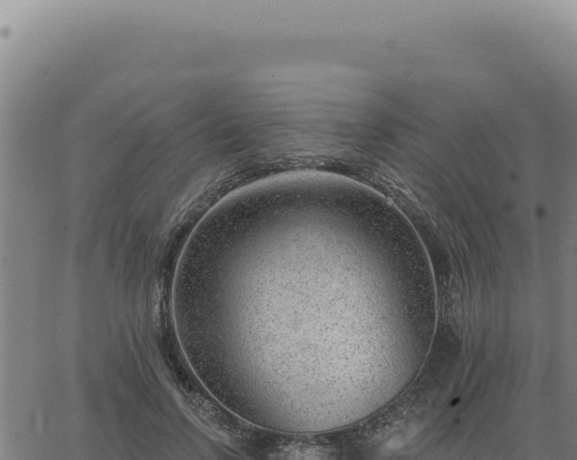 X0000063490742200601271719