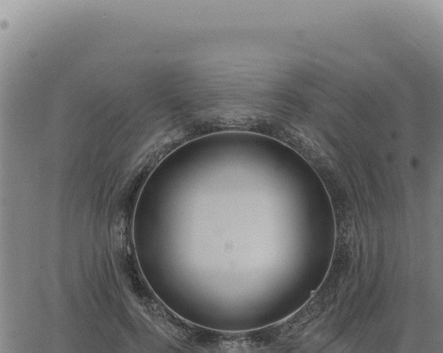 X0000063490744200601271719