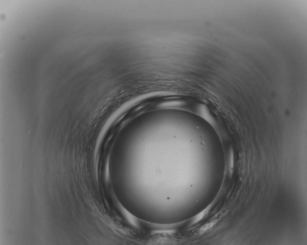 X0000063490750200601271719