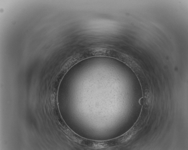 X0000063490753200601271719