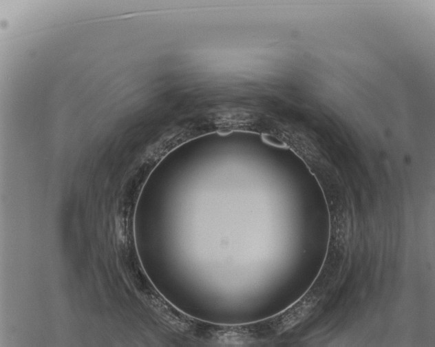 X0000063490755200601271720