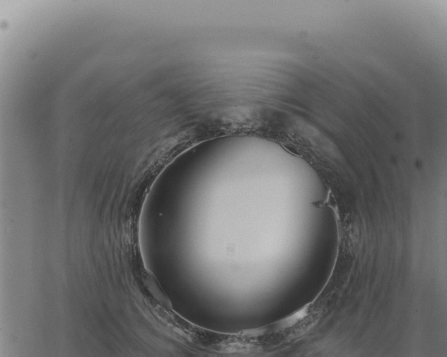 X0000063490756200601271720