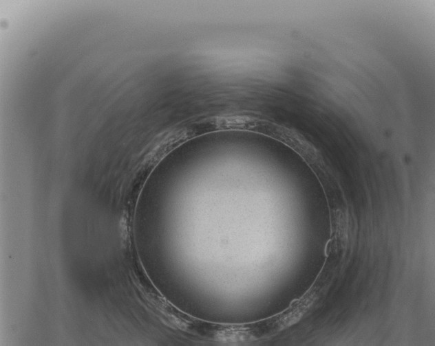 X0000063490761200601271720