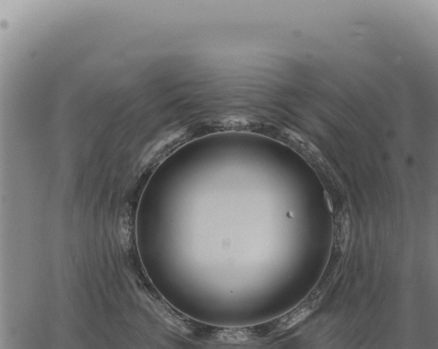 X0000063490762200601271720