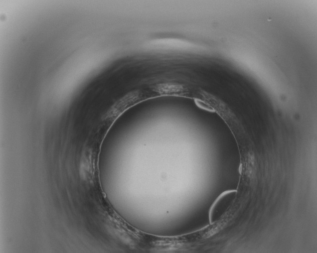 X0000063490763200601271720