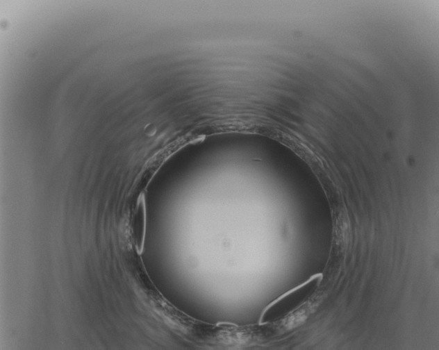 X0000063490764200601271720