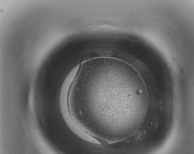 X0000063490765200601271720