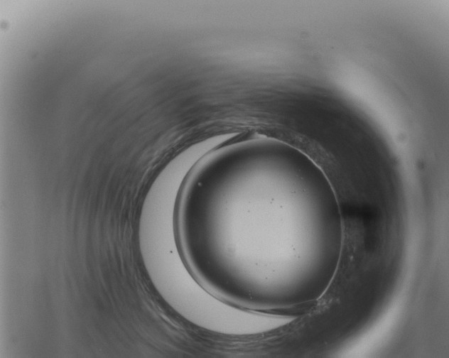 X0000063490766200601271720