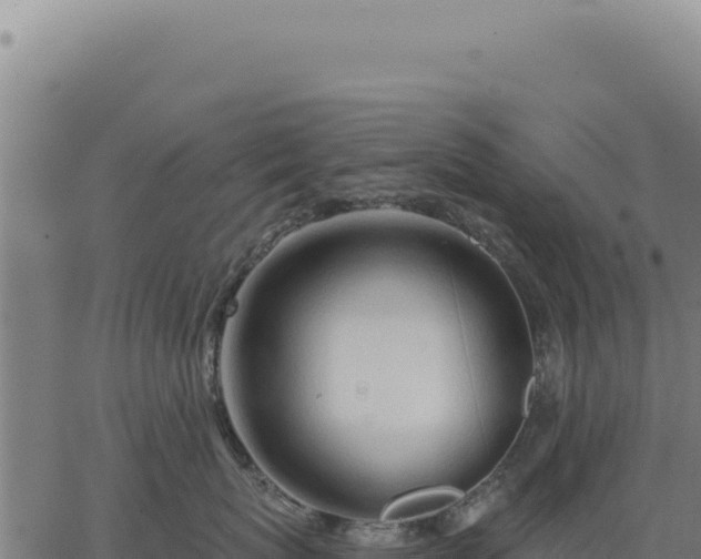 X0000063490767200601271720