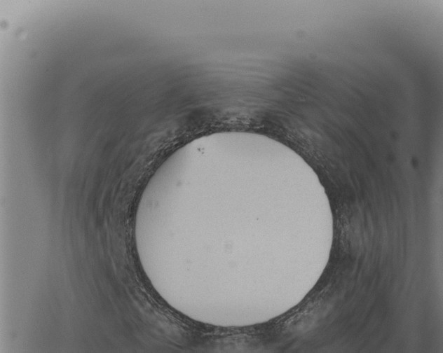 X0000063490769200601271719