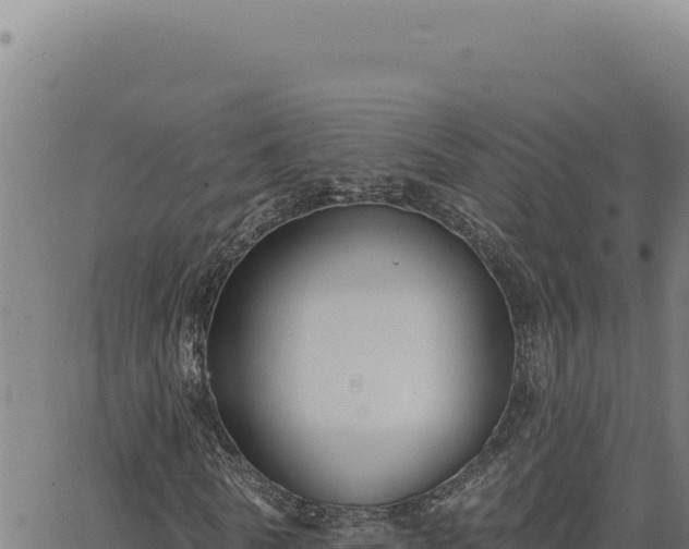 X0000063490770200601271719