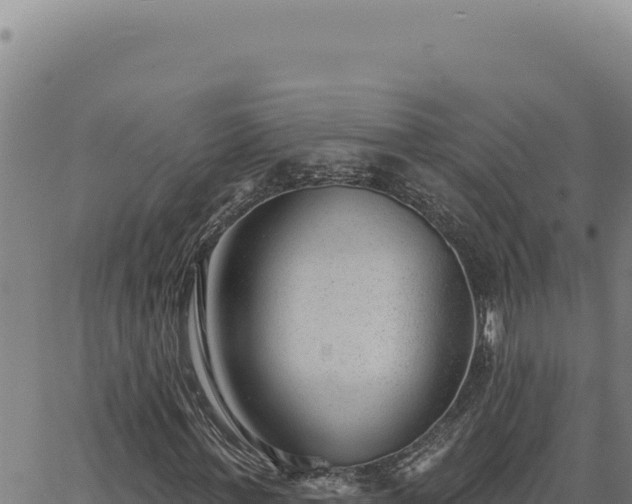 X0000063490771200601271719