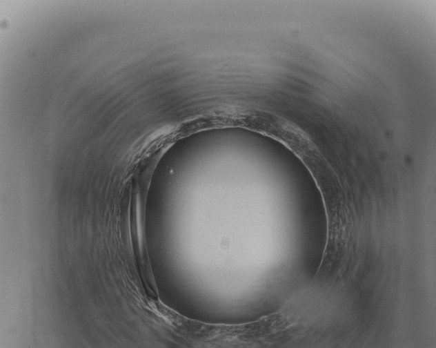 X0000063490773200601271719