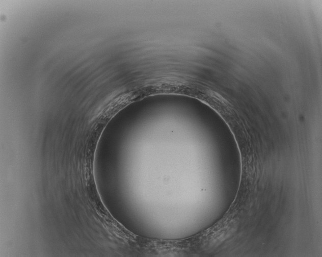 X0000063490774200601271719