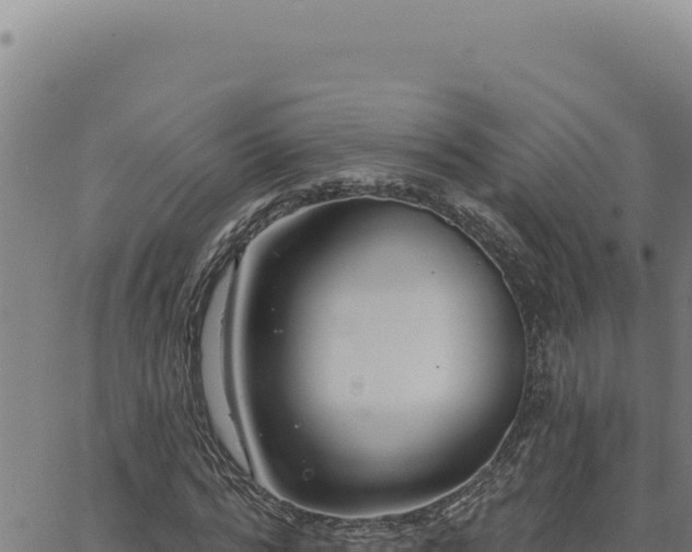 X0000063490776200601271719