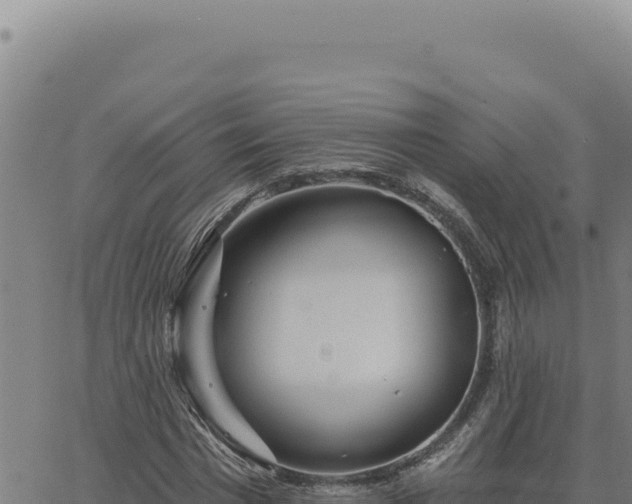 X0000063490777200601271719