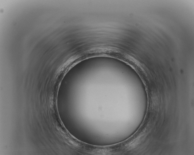 X0000063490778200601271719