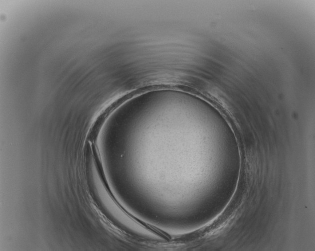 X0000063490779200601271719