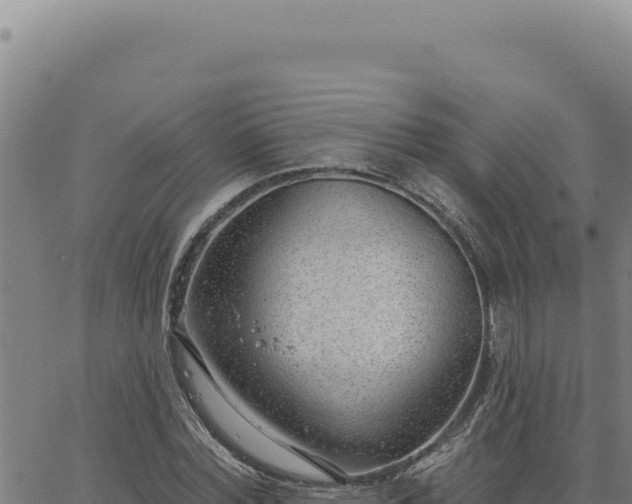 X0000063490780200601271719