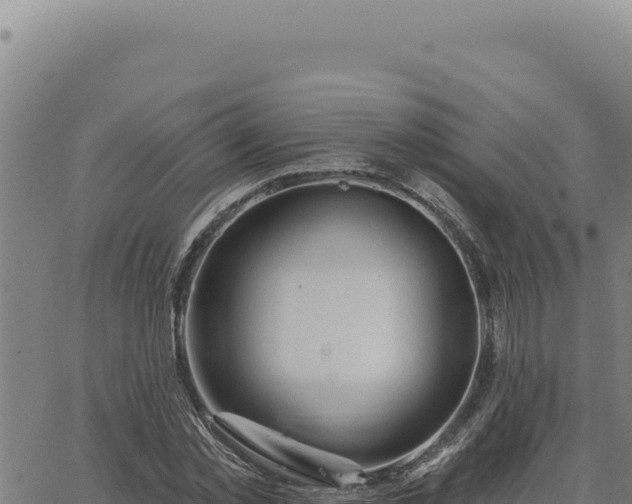 X0000063490781200601271719