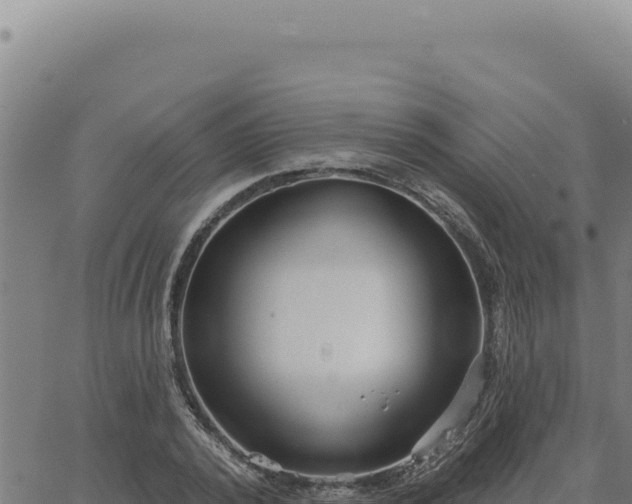 X0000063490784200601271719