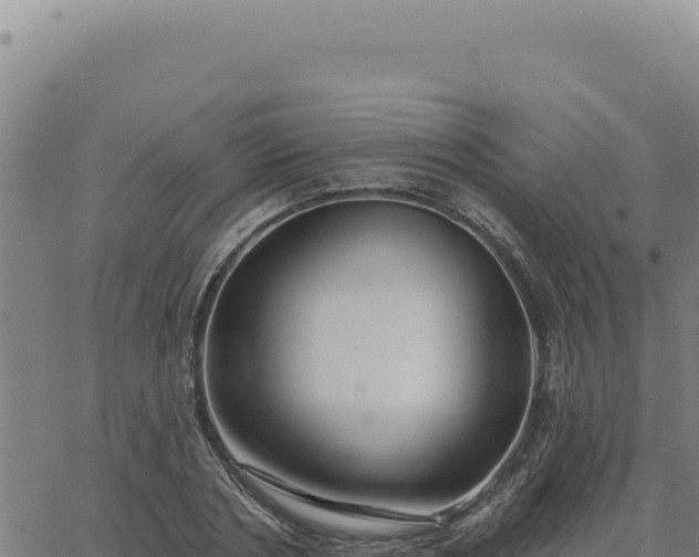 X0000063490786200601271719