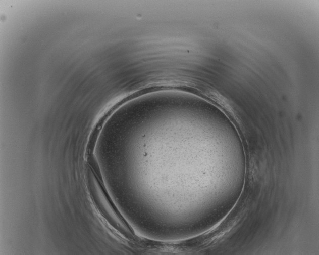 X0000063490787200601271719