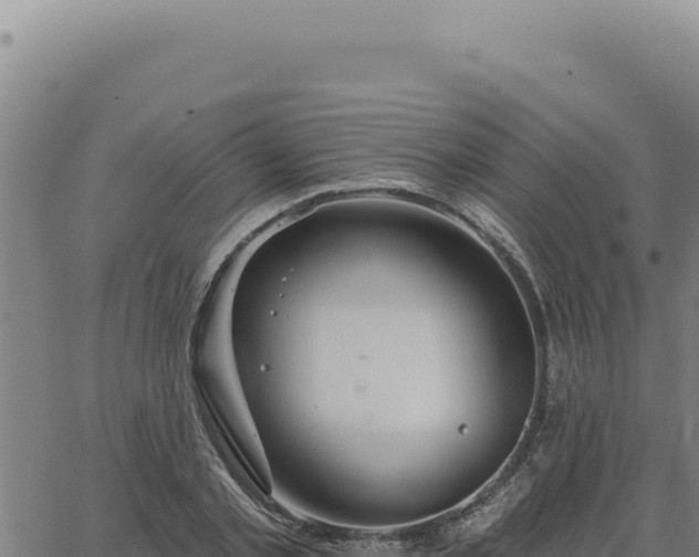 X0000063490789200601271719