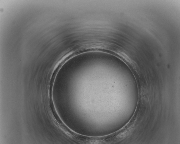 X0000063490790200601271719