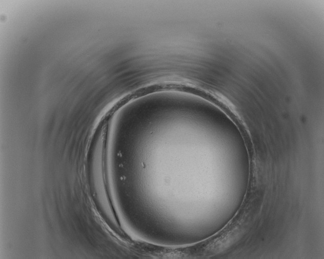 X0000063490791200601271719