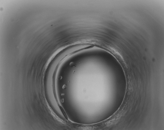 X0000063490792200601271719