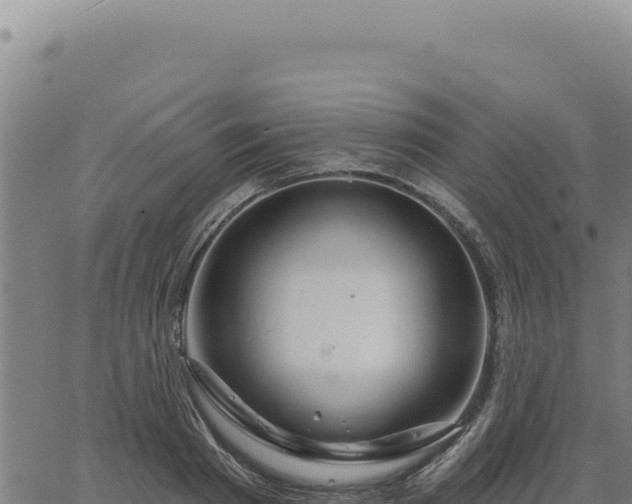 X0000063490793200601271719