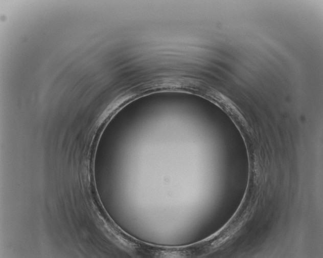 X0000063490794200601271719