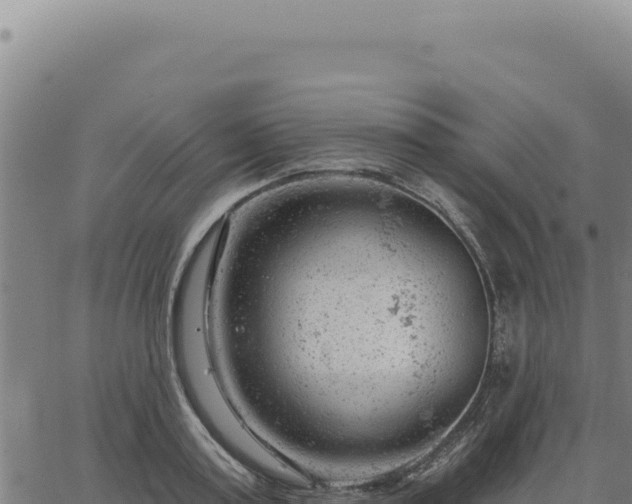 X0000063490795200601271719