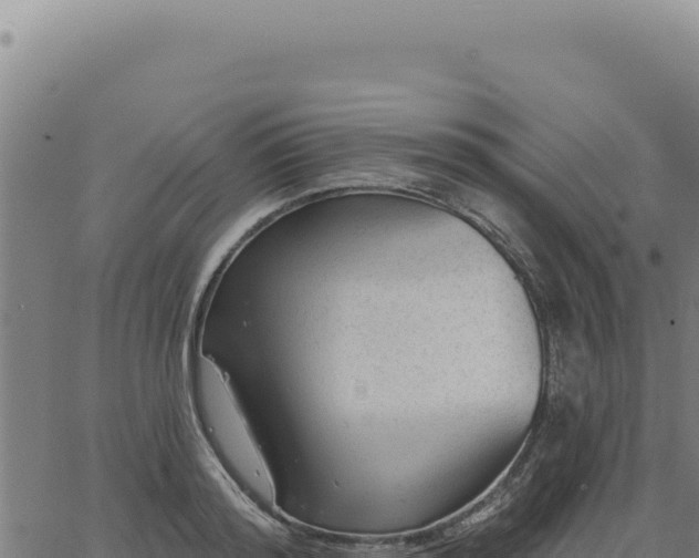 X0000063490796200601271718