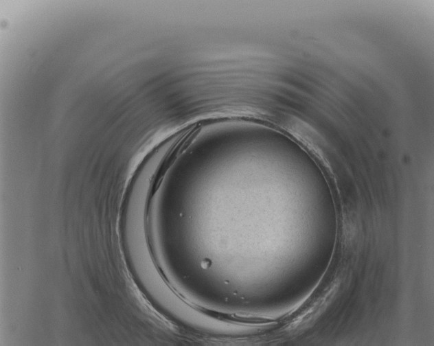 X0000063490797200601271718