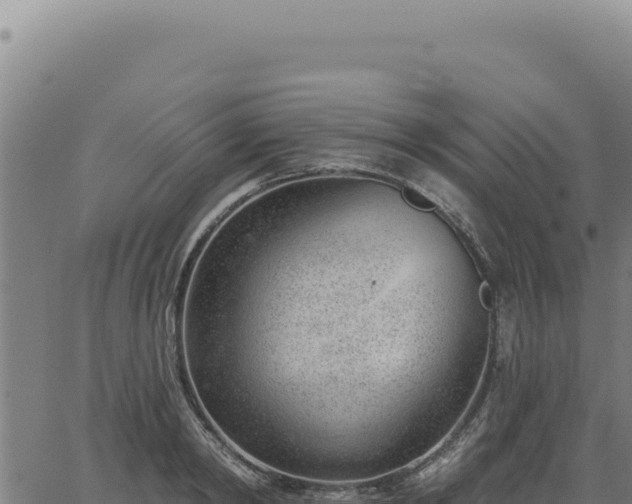 X0000063490798200601271718