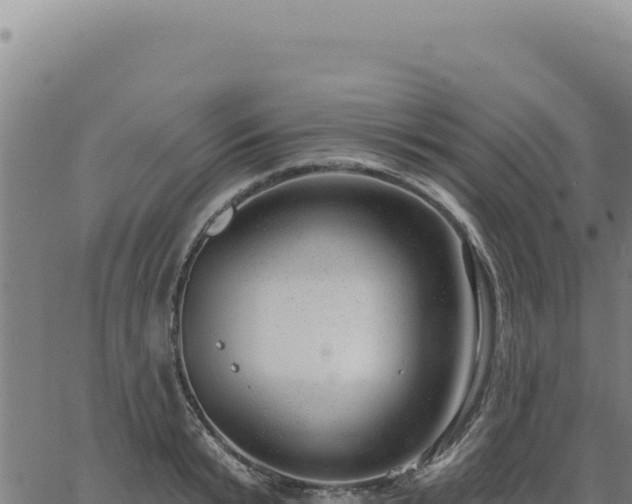 X0000063490799200601271718