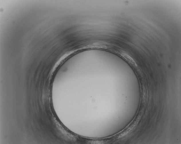 X0000063490800200601271718