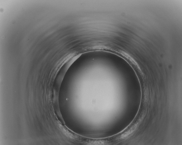 X0000063490801200601271718