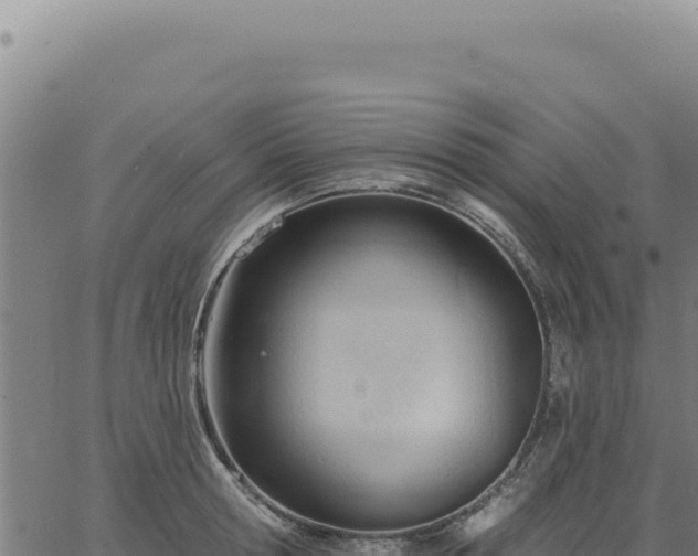 X0000063490802200601271718